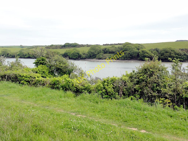 Photo 6"x4" On the Banks of Frogmore Creek East Charleton c2011