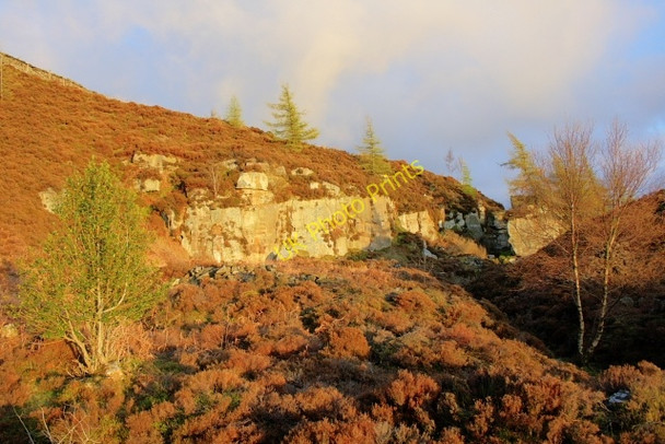 Photo 6"x4" Former Quarry, Battersby Plantation Ingleby Greenhow c2008