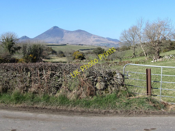 Photo 6"x4" View northwards along the Mullagh River valley Ballymartin c2011