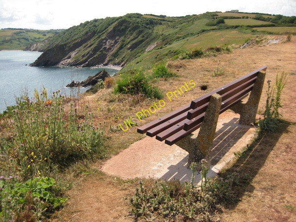 Photo 6"x4" Seat on Sharkham Point Brixham c2011
