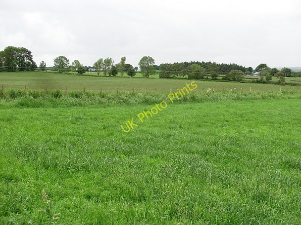 Photo 6"x4" Grassland, Pettinain Pettinain c2011