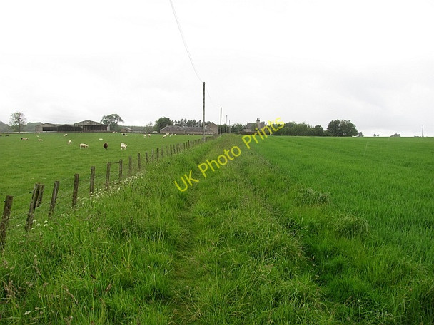 Photo 6"x4" Track to Westraw Pettinain c2011