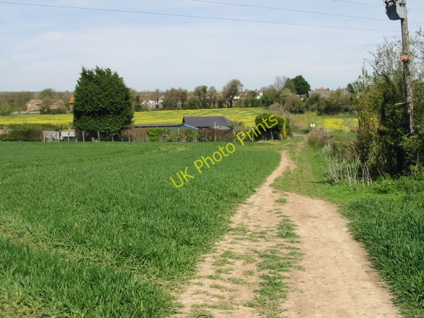 Photo 6"x4" View along the Stour Valley Walk in the direction of Shalmsford Street Shalmsford Street c2008