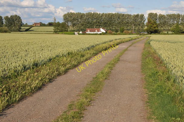 Photo 6"x4" Track through a wheat field Birch Green\/SO8545 c2011