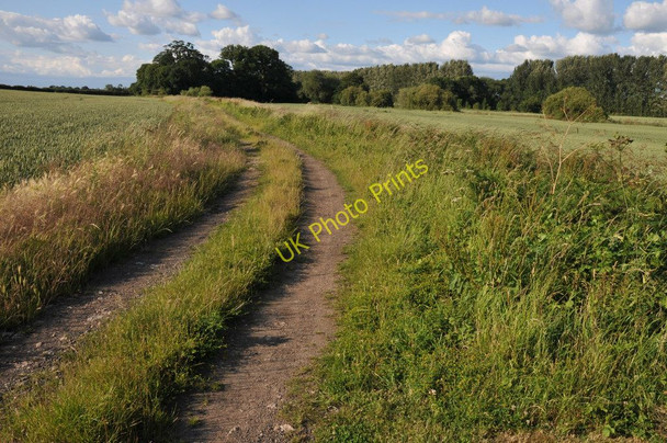 Photo 6"x4" Bridleway to Birch Green Birch Green\/SO8545 c2011