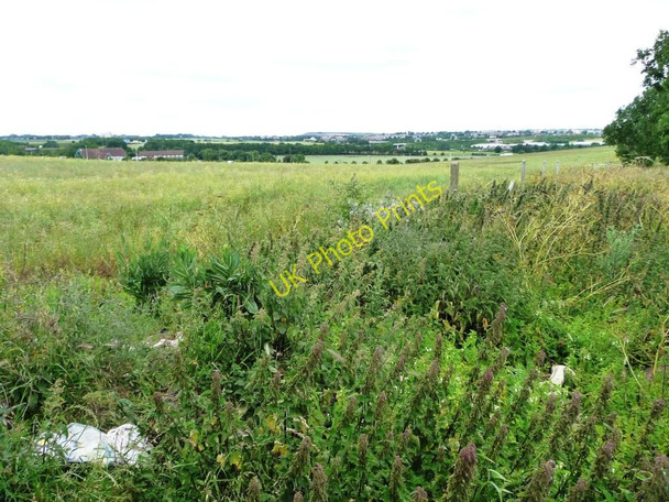 Photo 6"x4" Farmland west of Sycamore Avenue Knottingley c2011