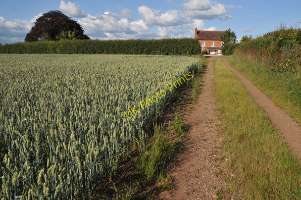 Photo 6"x4" Bridleway approaching Naunton Farm Birch Green\/SO8545 c2011
