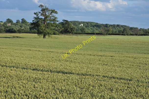 Photo 6"x4" View to Severn Stoke Severn Stoke c2011