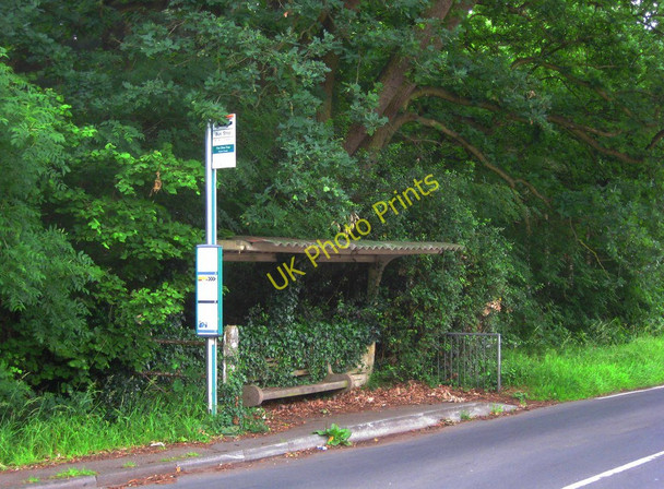 Photo 6"x4" Bus shelter, Sutton Green Road,  Sutton Green Sutton Green\/TQ0054 c2011