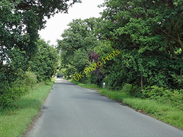 Photo 6"x4" Long Road West Dedham Heath c2011