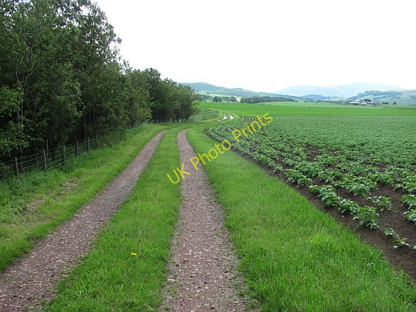 Photo 6"x4" Farm road, Middlebank Hyndford Bridge c2011