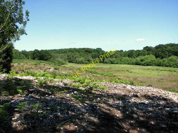 Photo 6"x4" View across the north-eastern part of Holt Lowes Holt\/TG0838 c2011