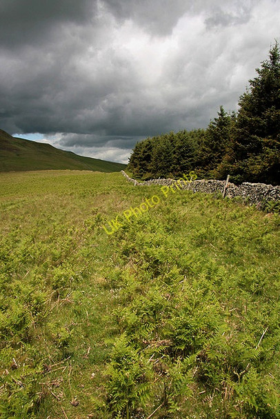Photo 6"x4" Kersmoor Head Mowhaugh c2011