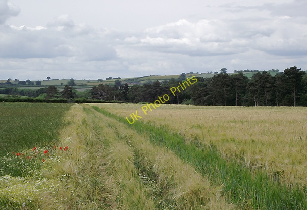 Photo 6"x4" Farmland near Claverley, Shropshire Beobridge c2011