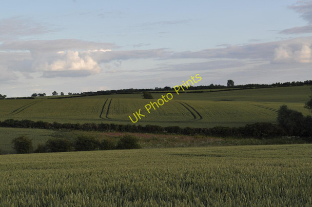 Photo 6"x4" Fields along Wold Road Burton Latimer c2011