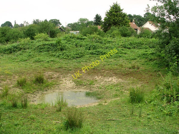 Photo 6"x4" An almost dry pond, Swardeston Common Intwood c2011