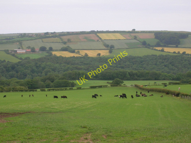 Photo 6"x4" Farmland Hutton Mulgrave Dunsley\/NZ8511 c2011
