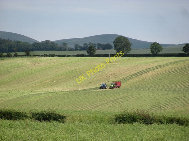 Photo 6"x4" Gathering silage Holefield c2011