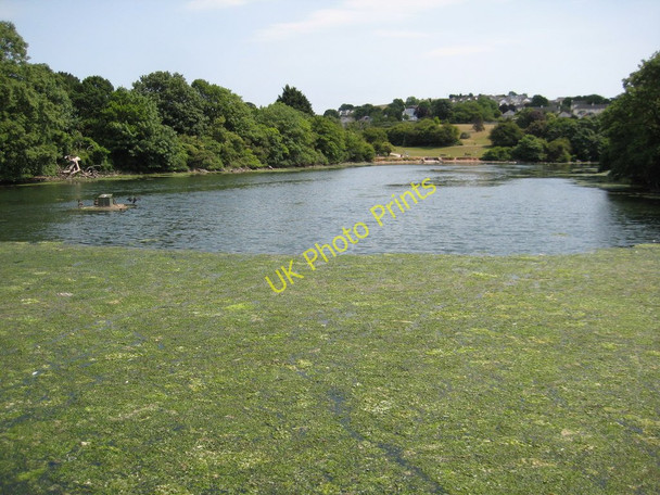 Photo 6"x4" Radford Lake, Hooe Hooe\/SX5052 c2011