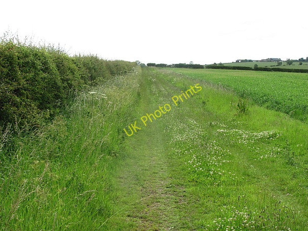 Photo 6"x4" Fieldside track, Wark Coldstream\/NT8439 c2011