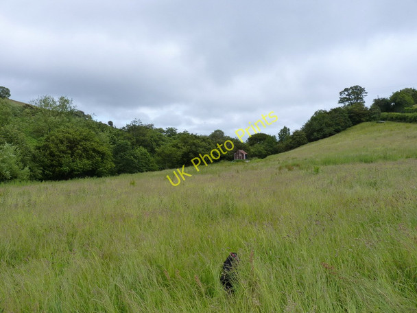 Photo 6"x4" An overgrown, little-used footpath Wrentnall c2011