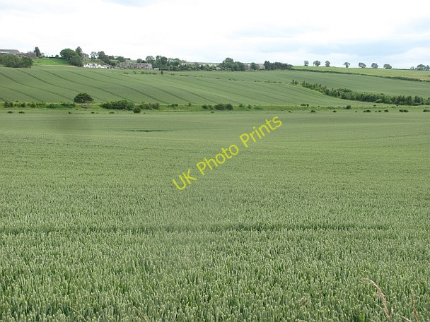 Photo 6"x4" Wheat below Hadden Hadden\/NT7836 c2011