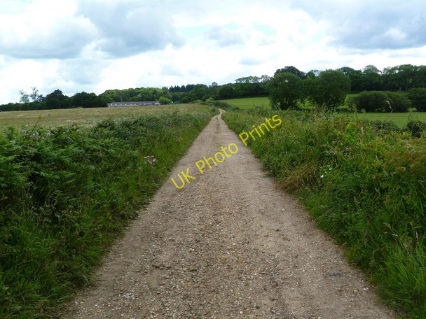 Photo 6"x4" Burgate, Avon Valley Path Fordingbridge c2011