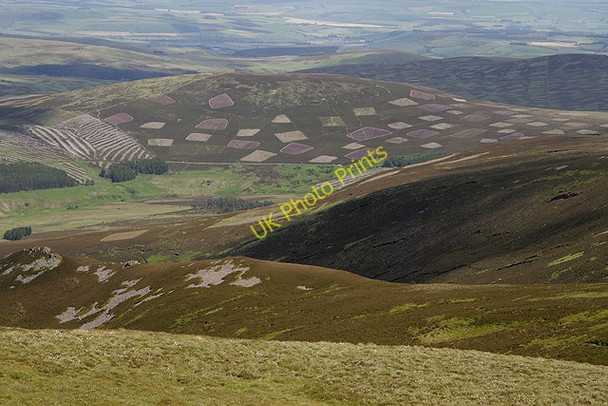 Photo 6"x4" Bellyside Hill Mid Hill\/NT9021 c2011