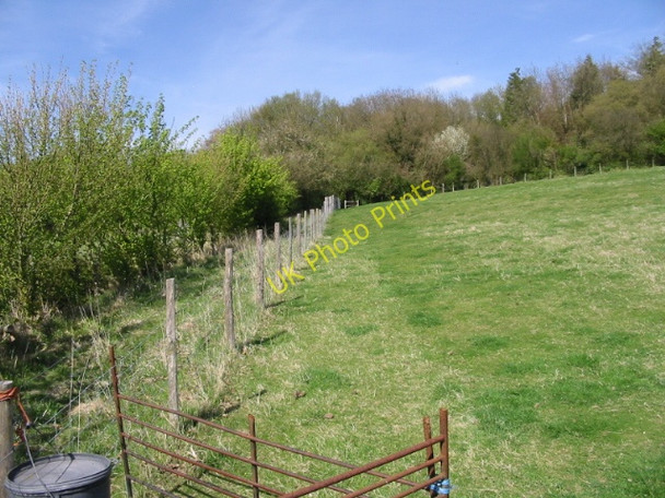 Photo 6"x4" Looking NE along the Stour Valley Walk Bagham c2008