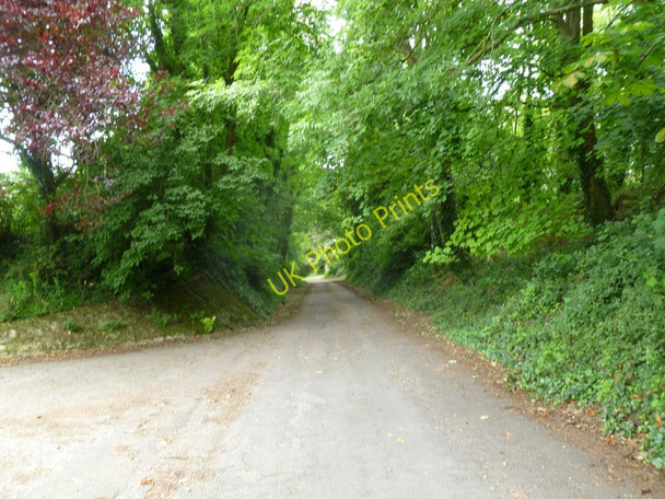 Photo 6"x4" Tarrant Rushton, village lane Tarrant Rushton c2011