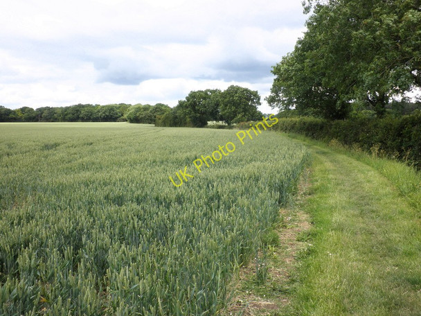 Photo 6"x4" Path towards Oldfield Grove Langley\/TL4434 c2011