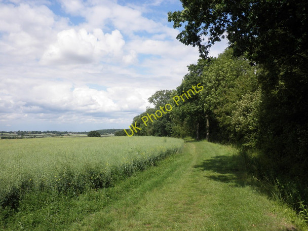 Photo 6"x4" Footpath, leading north towards Chrishall Building End c2011
