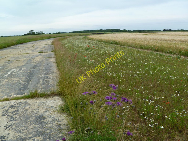 Photo 6"x4" Tarrant Rushton, wild flowers Hogstock c2011