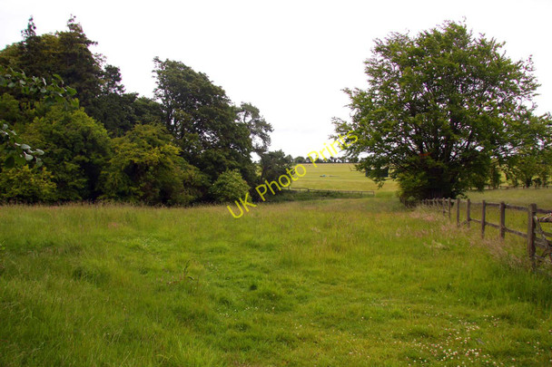 Photo 6"x4" Field by Warborough Farm Wantage c2011