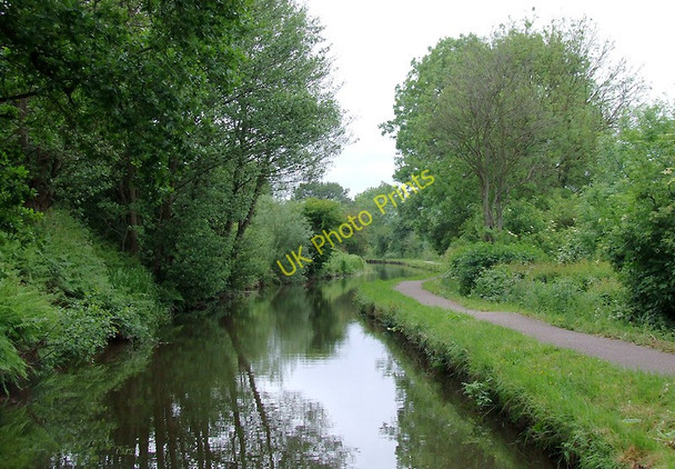 Photo 6"x4" Caldon canal east of Birches Head, Stoke-on-Trent Abbey Hulton c2011