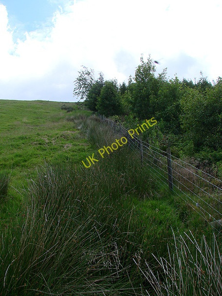 Photo 6"x4" Fence line at the edge of Hafren Forest at Llechwedd y Glyn Tynyrwtra\/SN8885 c2011