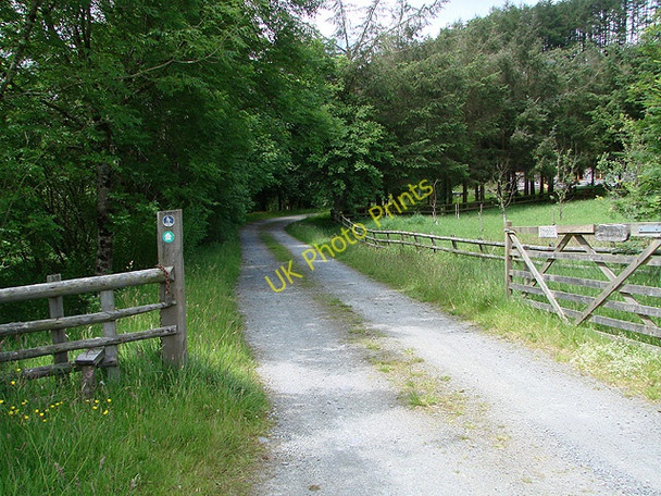 Photo 6"x4" Entrance to Hafren Forest at Cwmbiga Llwynygog c2011