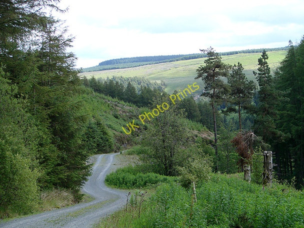 Photo 6"x4" In Cwmbiga looking towards Mynydd Du Llwynygog c2011