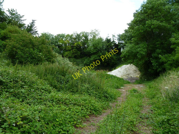 Photo 6"x4" Shapwick, disused chalk pit Shapwick\/ST9301 c2011