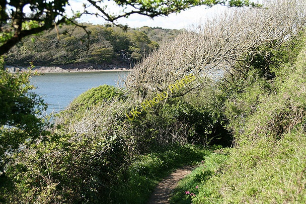 Photo 6"x4" Kingston: by Wrinkle Wood Kingston\/SX6347 c2008