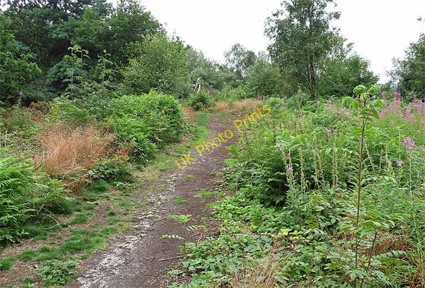 Photo 6"x4" Path near Grinshill (1) Clive\/SJ5124 c2010