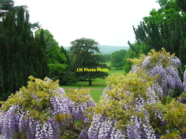 Photo 6"x4" Tyntesfield Estate Tyntesfield c2011