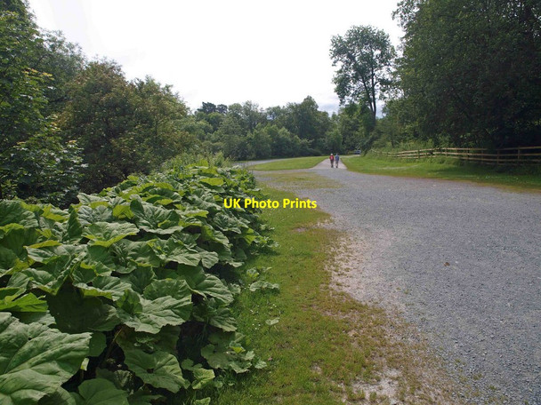 Photo 6"x4" The Ingleton waterfall trail car park Ingleton\/SD6973 c2011