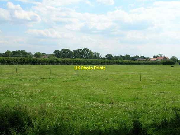Photo 6"x4" Farmland off Thirsk Road Easingwold c2011