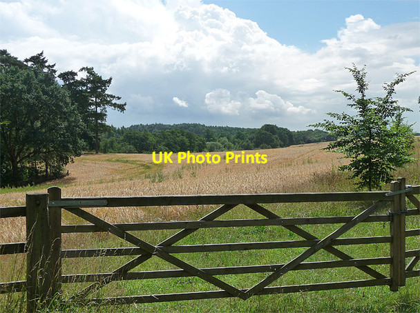 Photo 6"x4" Farmland near Tong Tong\/SJ7907 c2010