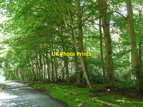 Photo 6"x4" Neachley Lane near Tong (2) Tong\/SJ7907 c2010