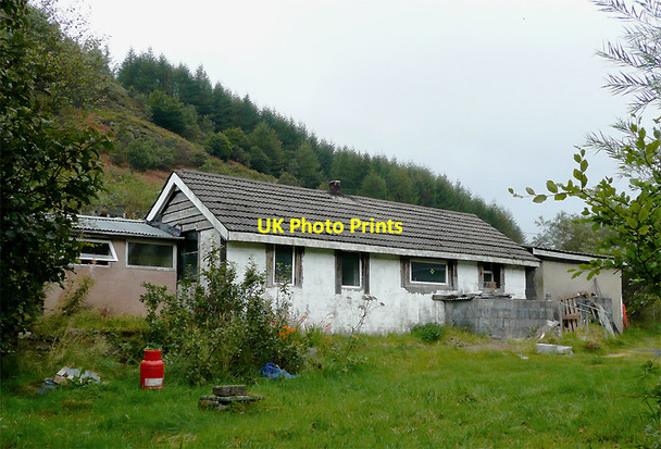 Photo 6"x4" The house that George built Dolgoch\/SN8056 c2009