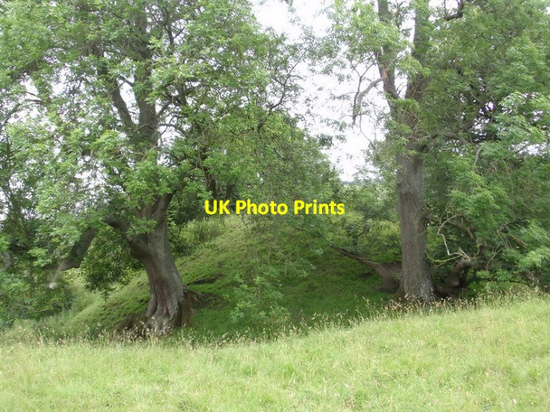 Photo 6"x4" Castell Foel Allt Pilleth c2011