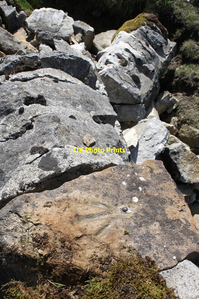 Photo 6"x4" Benchmark on partly collapsed bridge parapet Hardraw c2011