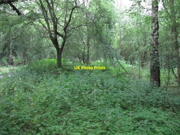 Photo 6"x4" Mound near the road Catslip c2011
